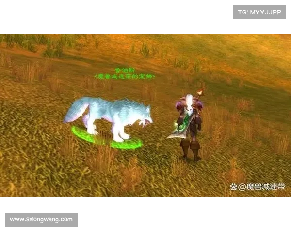 魔兽世界怀旧服：宝宝进化，征服坐骑